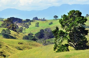 AdobeStock_40747309