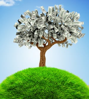 3D Money growing on a tree - financial concepts