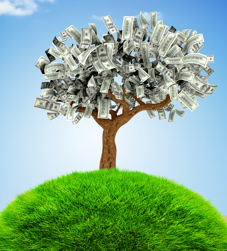 tree with money growing instead of leaves, on rounded grass hill. Sunrise background